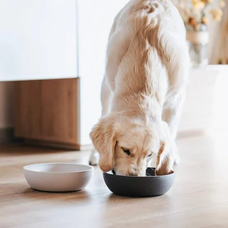 Bamboe voerbak voor honden met antislip ring