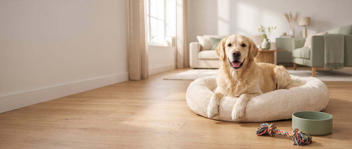 Blije hond in een zachte hondenmand met voerbak en speeltje