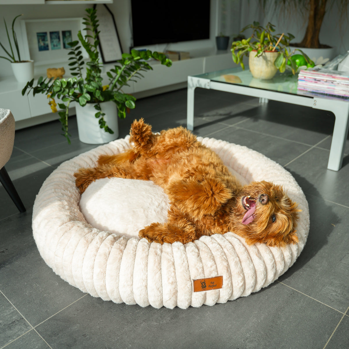 Orthopedische donut hondenmand met traagschuim